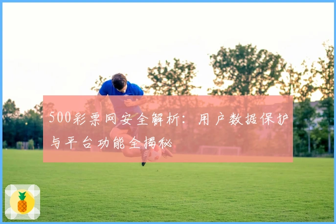 500彩票网安全解析：用户数据保护与平台功能全揭秘