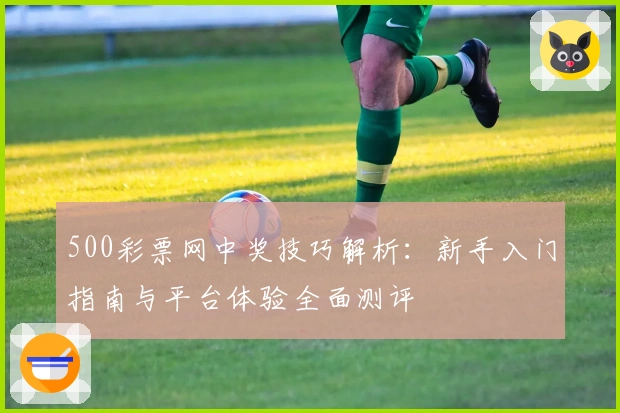 500彩票网中奖技巧解析：新手入门指南与平台体验全面测评