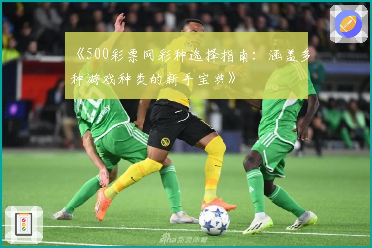 《500彩票网彩种选择指南：涵盖多种游戏种类的新手宝典》