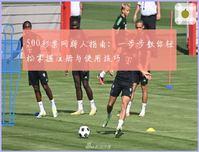 500彩票网新人指南：一步步教你轻松掌握注册与使用技巧